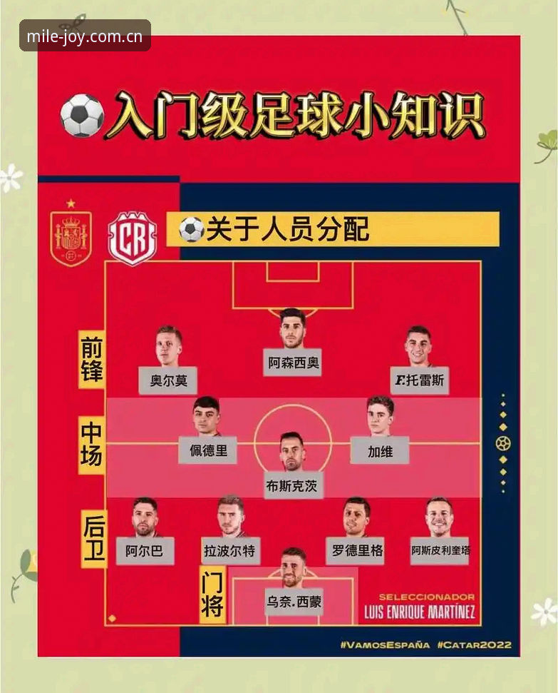 看懂世界杯观赛受阻背后的签证难题，这份实用指南帮你避开雷区
